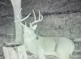 89.5+/-acres Unrestricted with Hunting Cabin