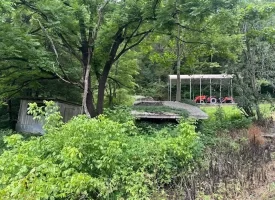 89.5+/-acres Unrestricted with Hunting Cabin