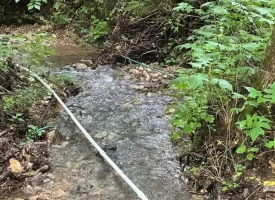 89.5+/-acres Unrestricted with Hunting Cabin