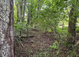 SOLD!! 5.01+/-acres Unrestricted wooded property