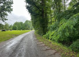 SOLD!! 5.01+/-acres Unrestricted wooded property