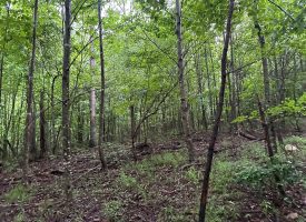 SOLD!! 5.01+/-acres unrestricted property.