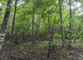 SOLD!! 5.01+/-acres unrestricted property.