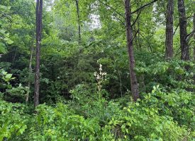 SOLD!! 5.01+/-acres unrestricted property.