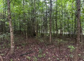 SOLD!! 5.01+/-acres unrestricted property.