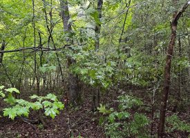 SOLD!! 5.01+/-acres unrestricted property.