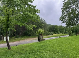 SOLD!! 5.29+/-acres Unrestricted property