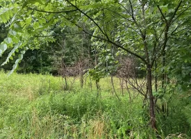 SOLD!! 5.29+/-acres Unrestricted property