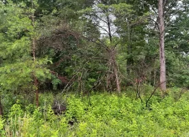 SOLD!! 5.29+/-acres Unrestricted property