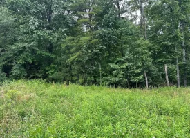 SOLD!! 5.29+/-acres Unrestricted property