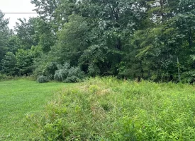 SOLD!! 5.29+/-acres Unrestricted property