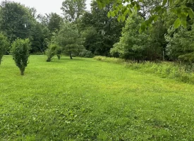 SOLD!! 5.29+/-acres Unrestricted property