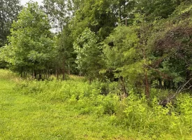 SOLD!! 5.29+/-acres Unrestricted property