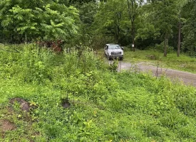 SOLD!! 5.29+/-acres Unrestricted property