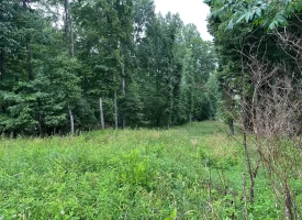 SOLD!! 5.29+/-acres Unrestricted property