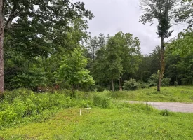 SOLD!! 5.29+/-acres Unrestricted property