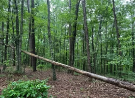 SOLD!! 3.97+/-acres Unrestricted Property