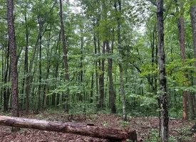 SOLD!! 3.97+/-acres Unrestricted Property