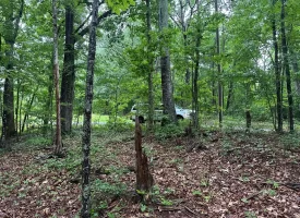 SOLD!! 3.97+/-acres Unrestricted Property