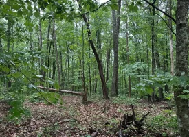 SOLD!! 3.97+/-acres Unrestricted Property