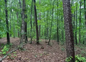 SOLD!! 3.97+/-acres Unrestricted Property