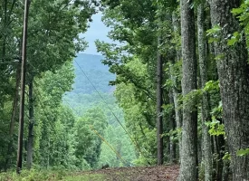 SOLD!! 3.97+/-acres Unrestricted Property