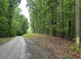 SOLD!! 3.97+/-acres Unrestricted Property