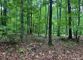 SOLD!! 3.97+/-acres Unrestricted Property