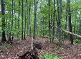 SOLD!! 3.97+/-acres Unrestricted Property