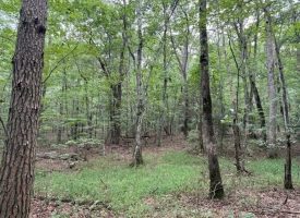 6.78+/-acres located in Monteagle TN