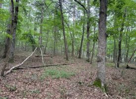 6.78+/-acres located in Monteagle TN