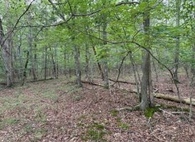 6.78+/-acres located in Monteagle TN