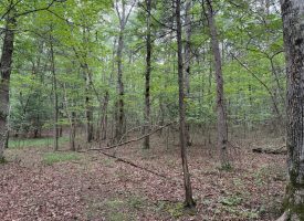 6.78+/-acres located in Monteagle TN