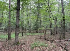6.78+/-acres located in Monteagle TN