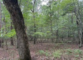 6.78+/-acres located in Monteagle TN