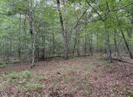 6.78+/-acres located in Monteagle TN