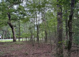 6.78+/-acres located in Monteagle TN