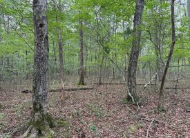 6.78+/-acres located in Monteagle TN