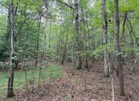 6.78+/-acres located in Monteagle TN