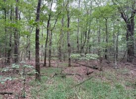 6.78+/-acres located in Monteagle TN