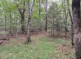 6.78+/-acres located in Monteagle TN