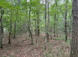6.78+/-acres located in Monteagle TN