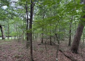6.78+/-acres located in Monteagle TN