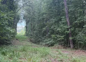 5.27+/-acres unrestricted wooded property