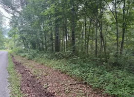 5.27+/-acres unrestricted wooded property