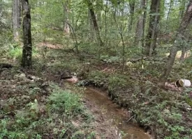 5.27+/-acres unrestricted wooded property