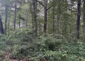 5.27+/-acres unrestricted wooded property