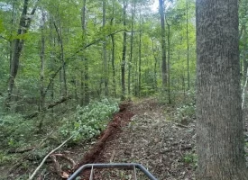 5.27+/-acres unrestricted wooded property