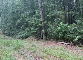 5.27+/-acres unrestricted wooded property