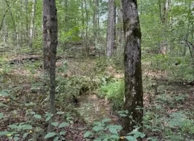 5.27+/-acres unrestricted wooded property